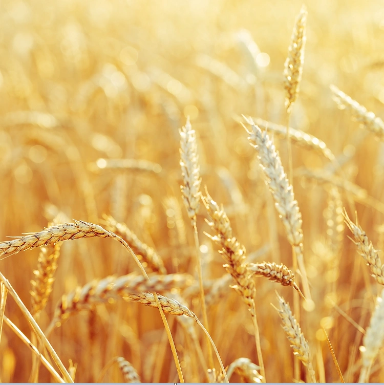 Изображение мужчины на баннере